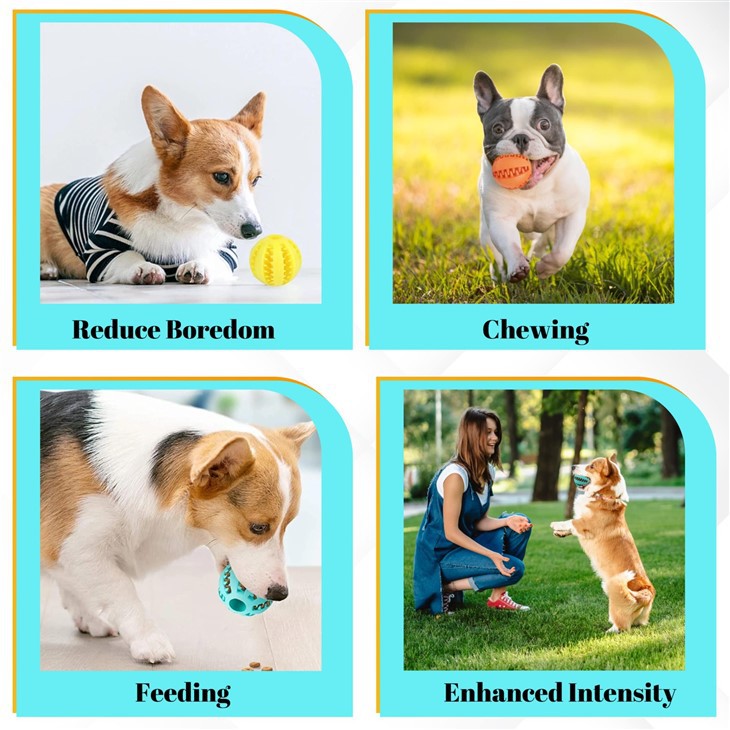 Silicone Toys For Dogs